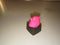 Keyboard Cap (Pokemon Neon Ditto)